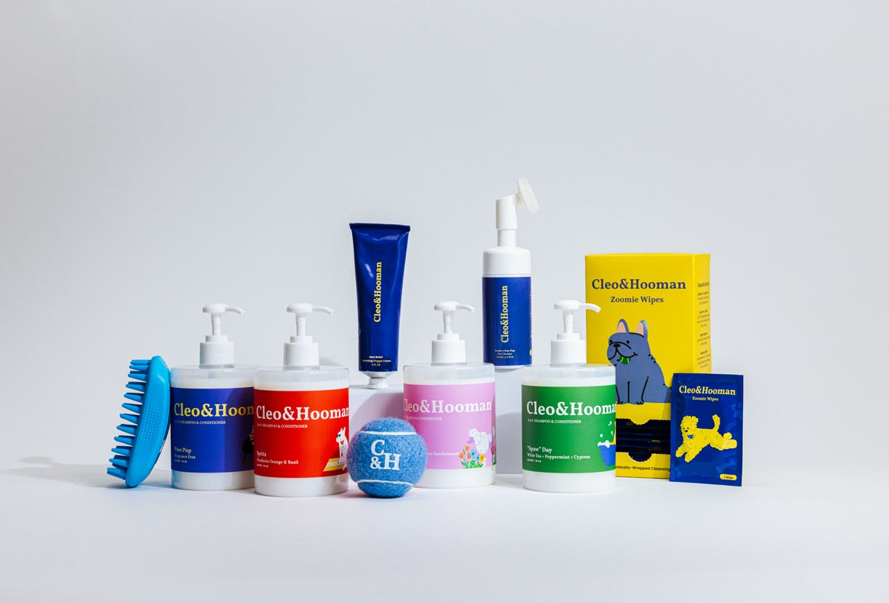 Caring for Your Dog’s Skin: The Cleo&Hooman Way