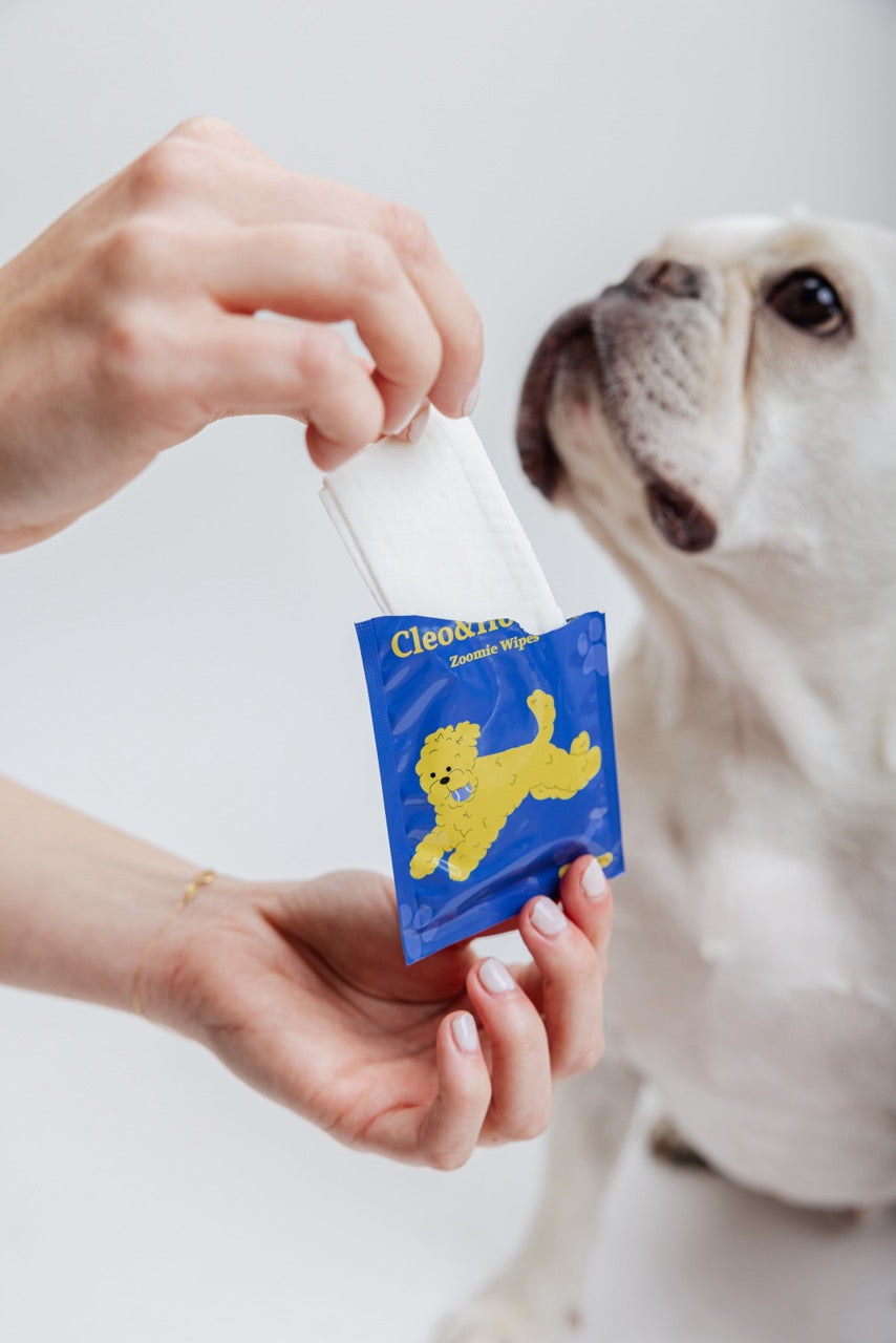 Why pH Balance Matters for Your Dog's Skin: The Truth About Wipes