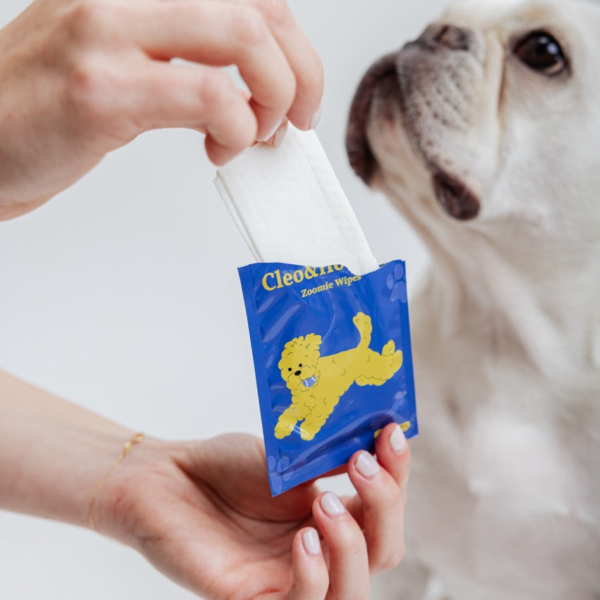 Why pH Balance Matters for Your Dog's Skin: The Truth About Wipes