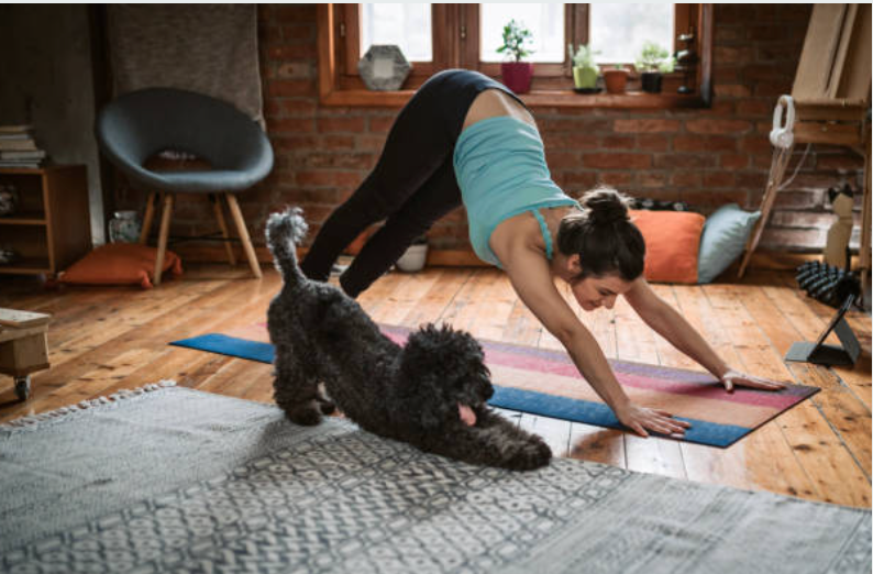 Exploring the Benefits of Dog Yoga (Doga)