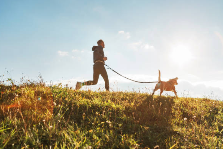 The Best Dog-Friendly Workouts: Staying Fit with Your Furry Friend