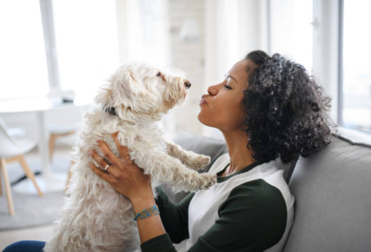 Top Dog Grooming Tips for Busy Pet Parents