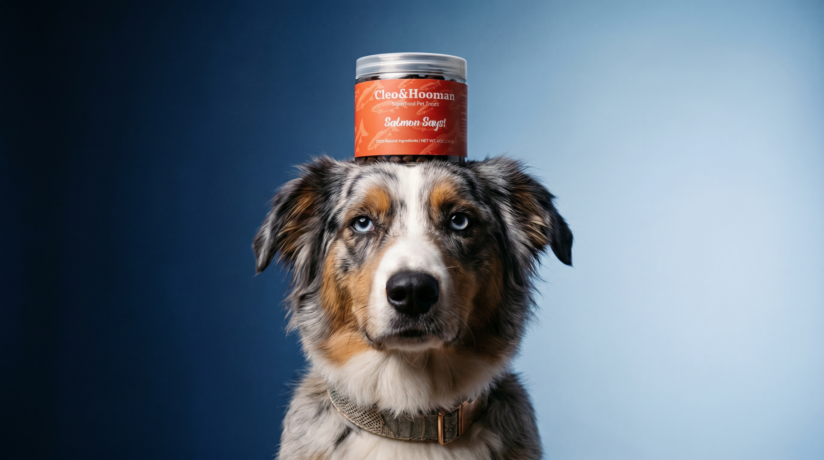 The Treat Shop