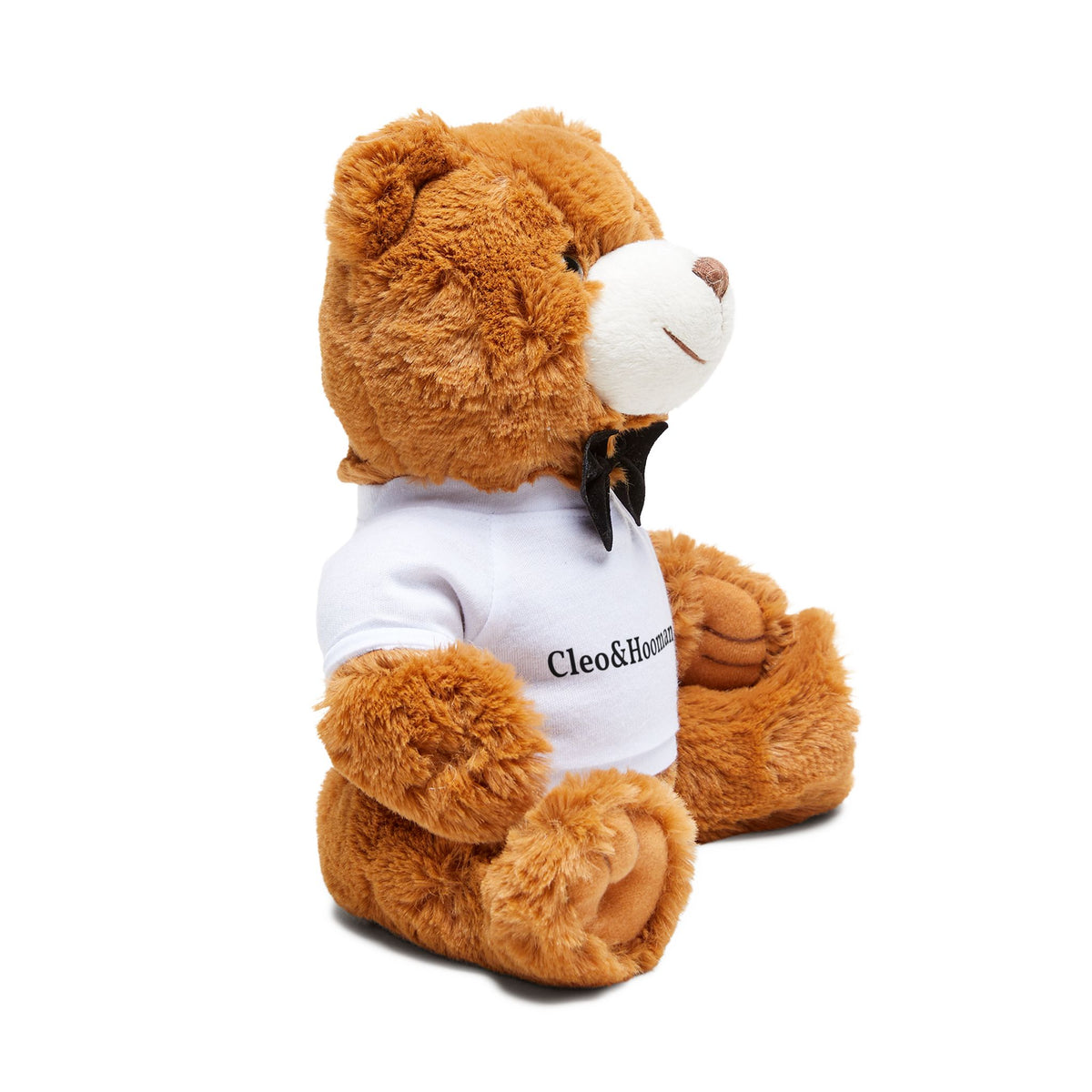 Benny the Teddy Bear