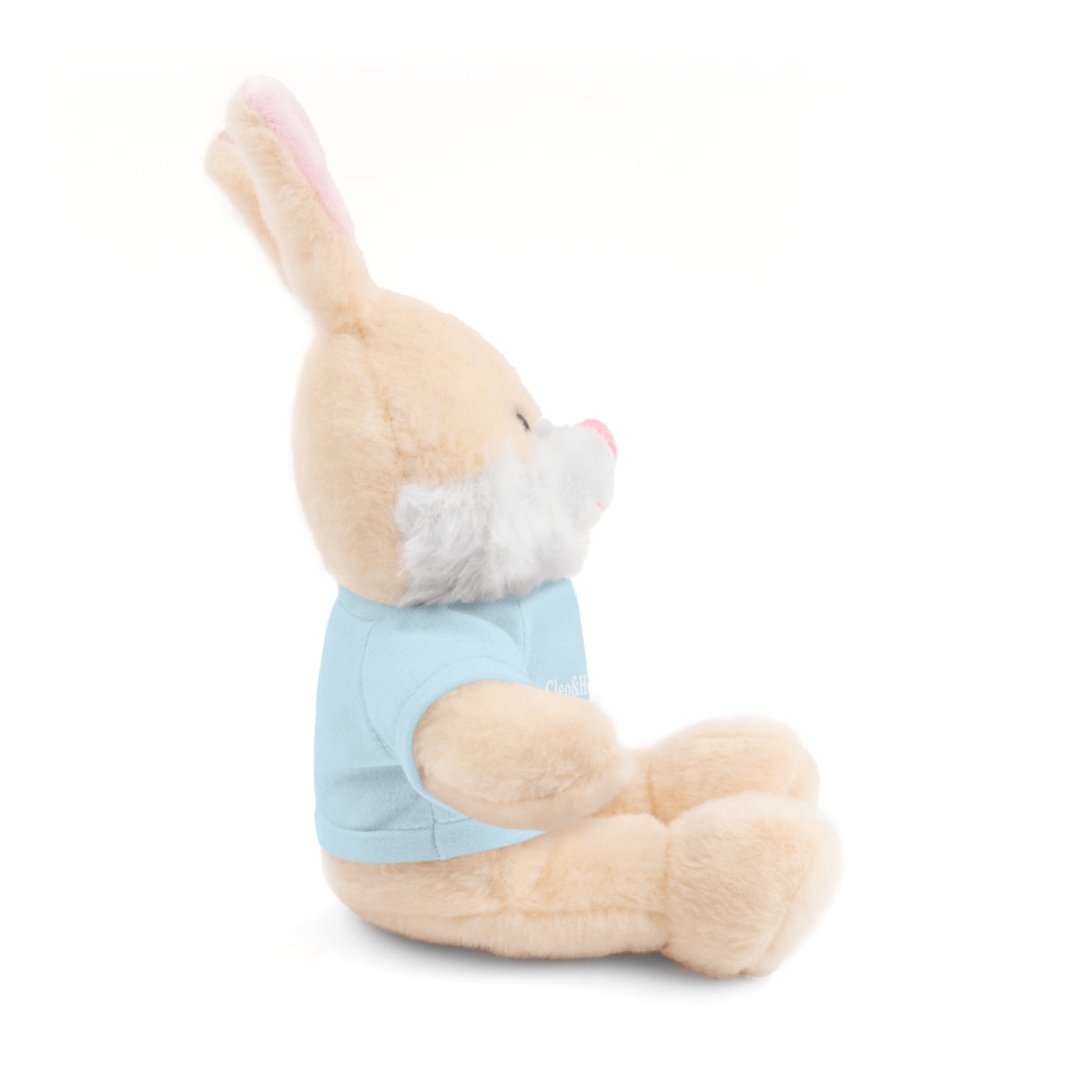 Hoppy the Bunny