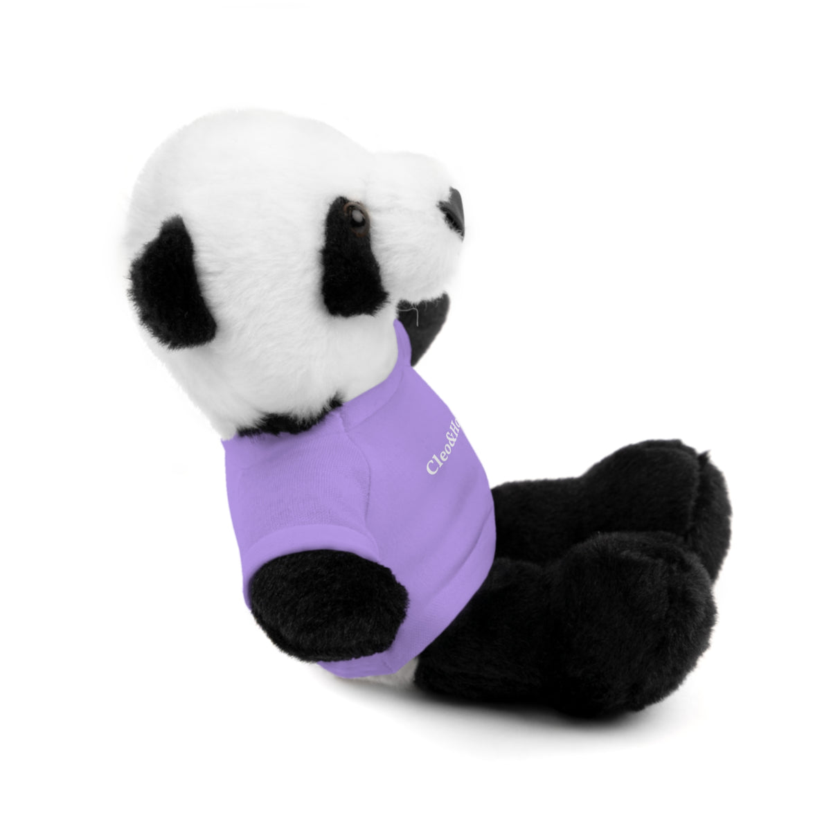 Pandy the Panda