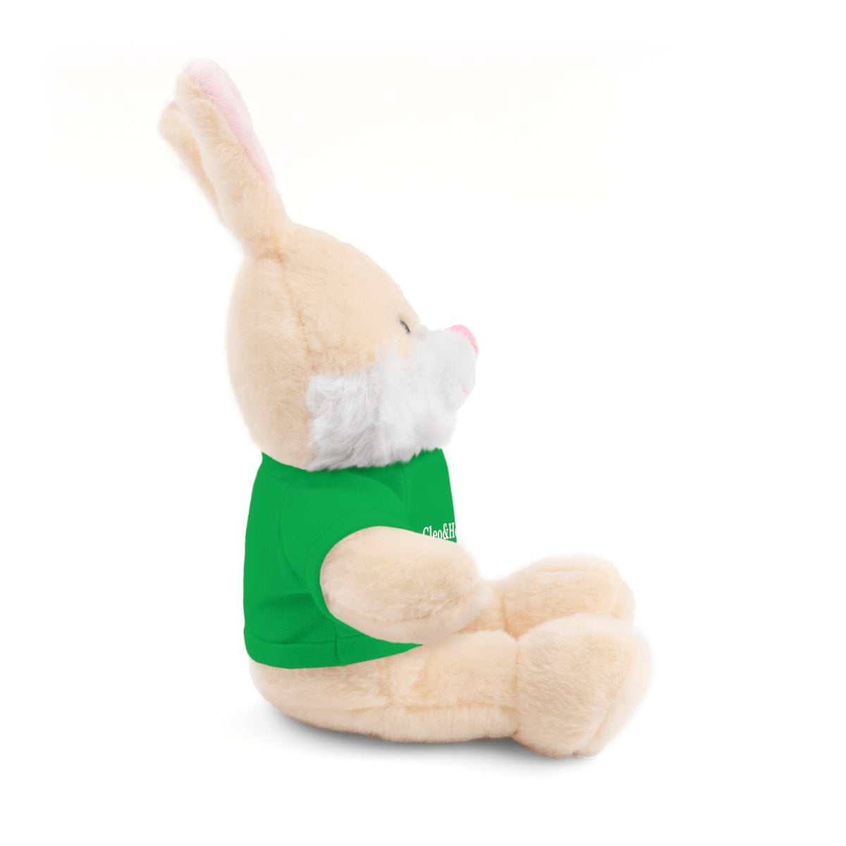 Hoppy the Bunny