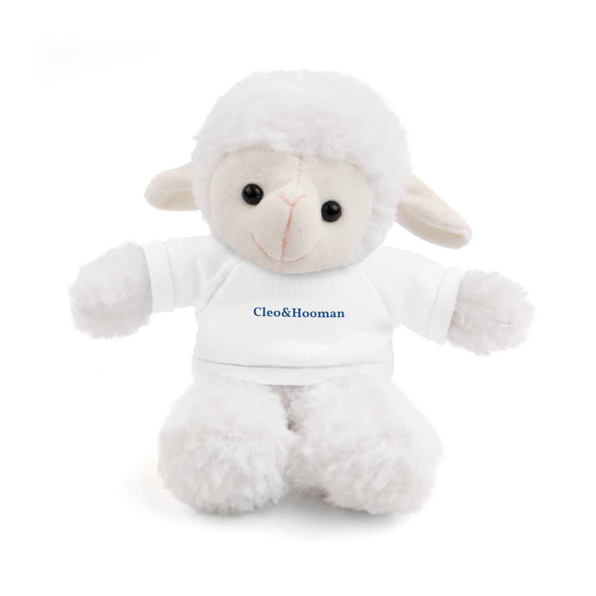 Woolly the Sheep