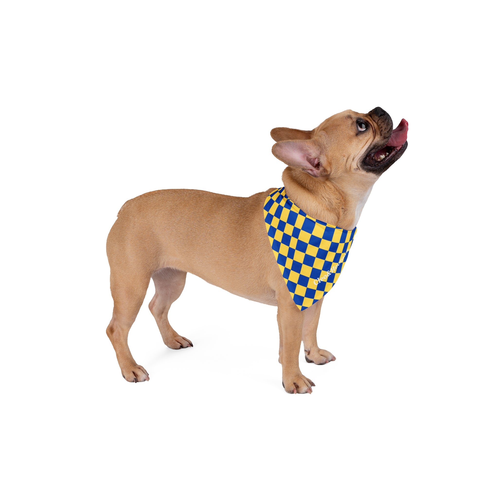 Trademark Pet Bandana