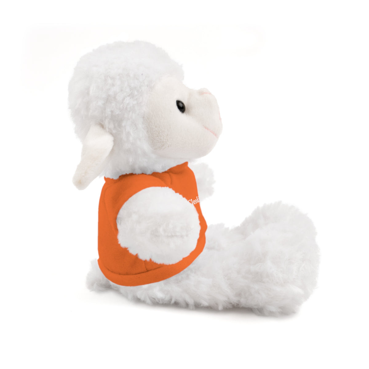 Woolly the Sheep