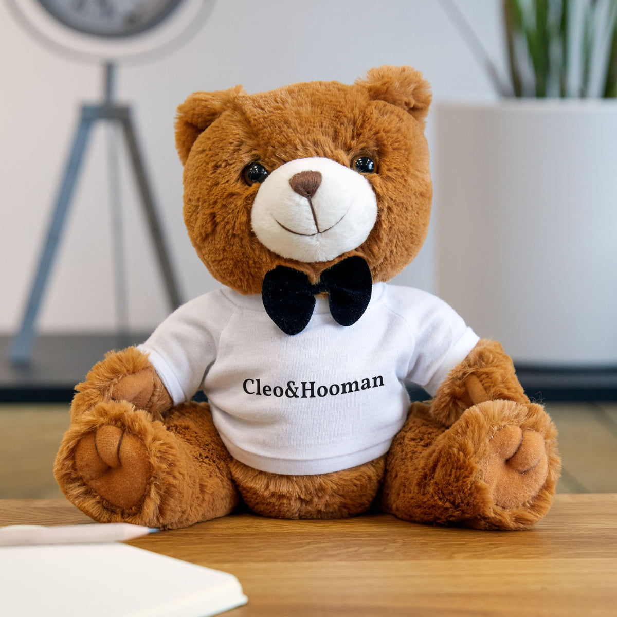 Benny the Teddy Bear