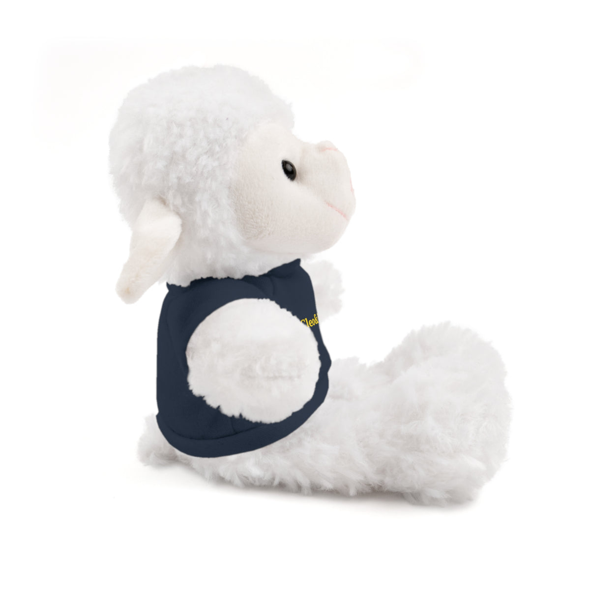 Woolly the Sheep