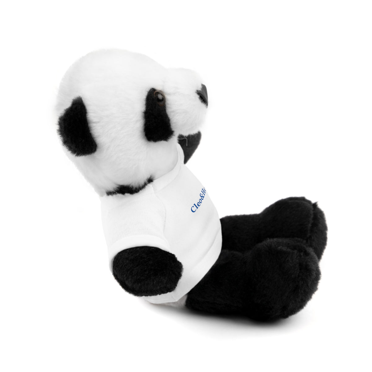 Pandy the Panda