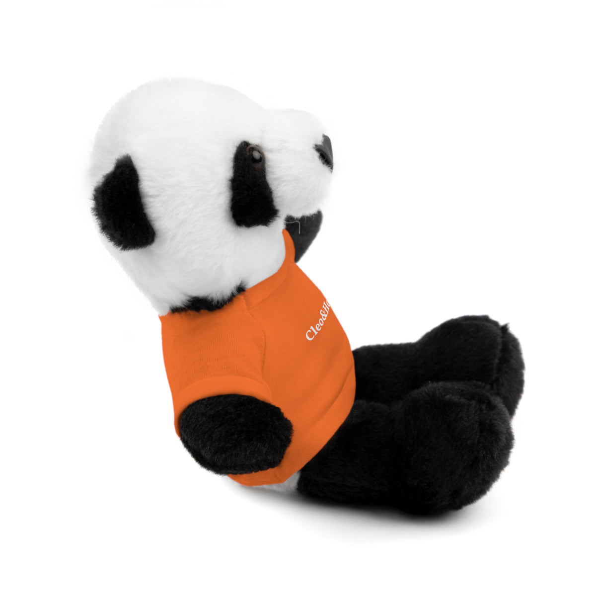 Pandy the Panda