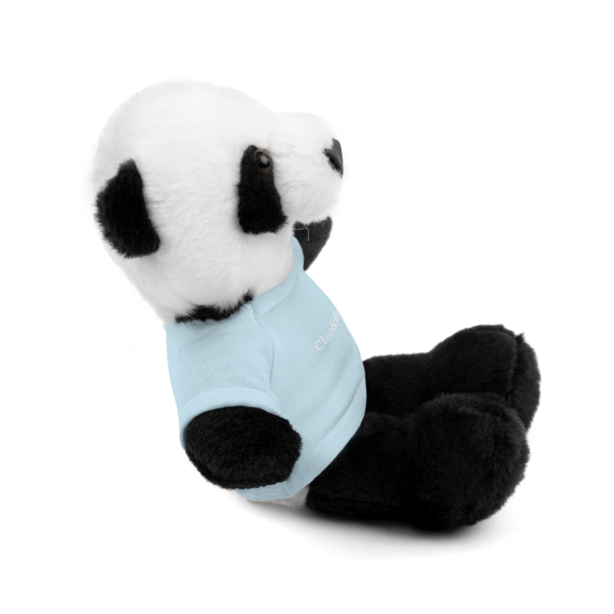 Pandy the Panda