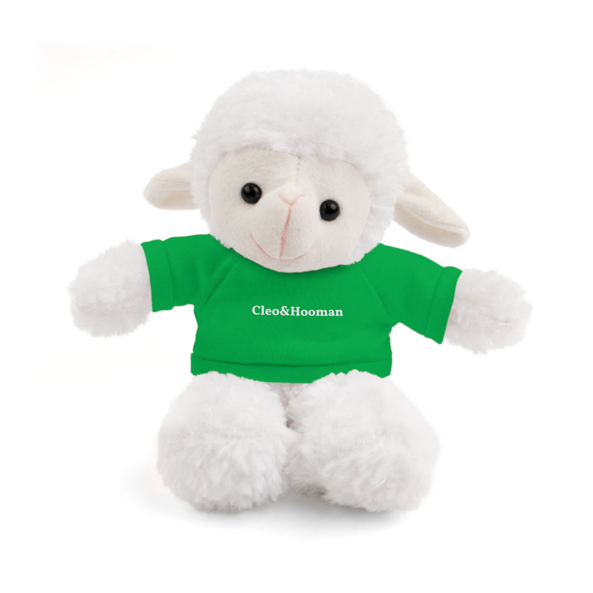 Woolly the Sheep