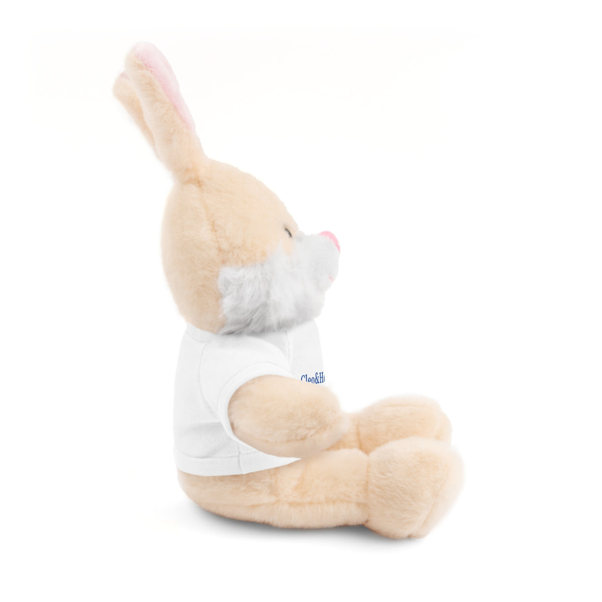 Hoppy the Bunny