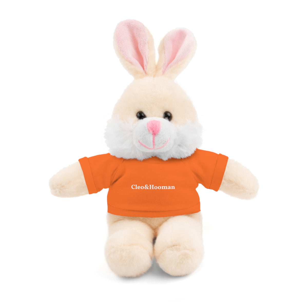 Hoppy the Bunny
