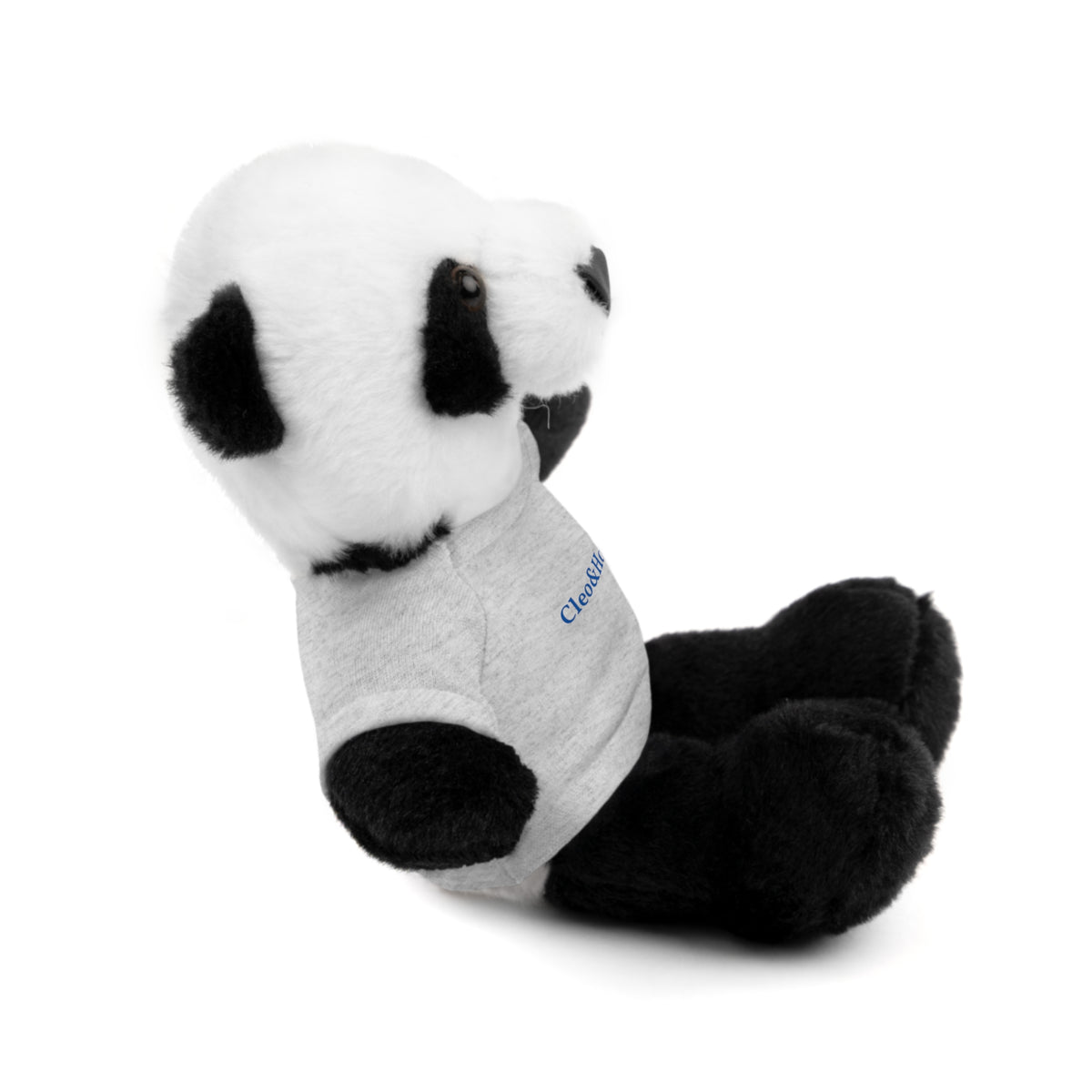 Pandy the Panda