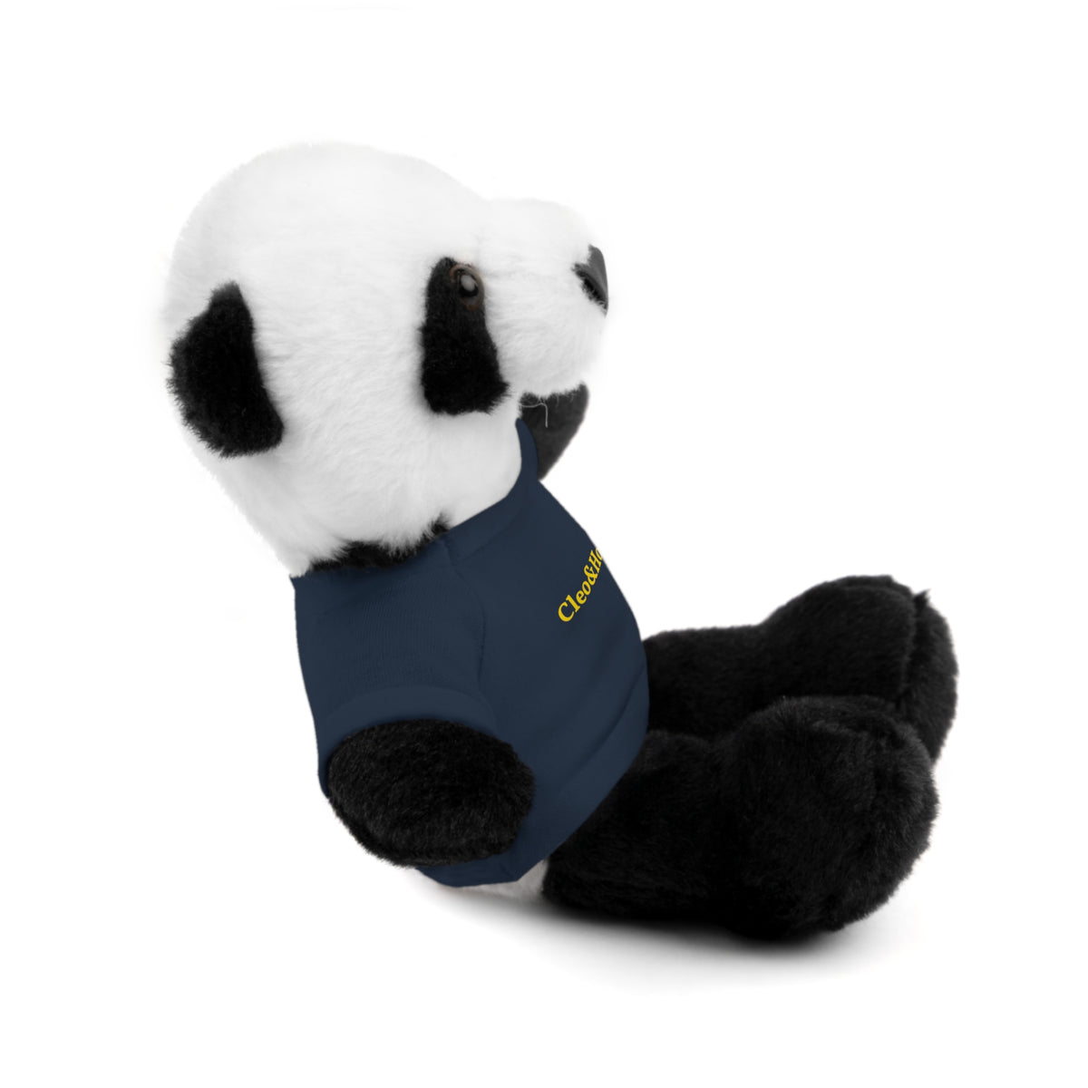 Pandy the Panda