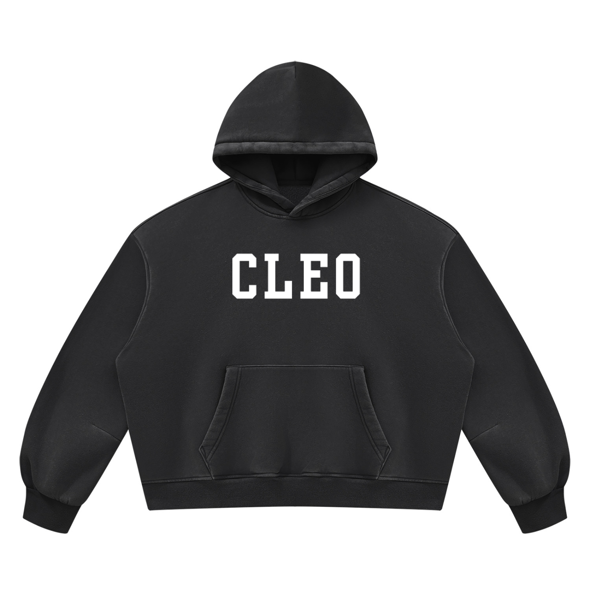 Cleo Varsity Fleece Hoodie
