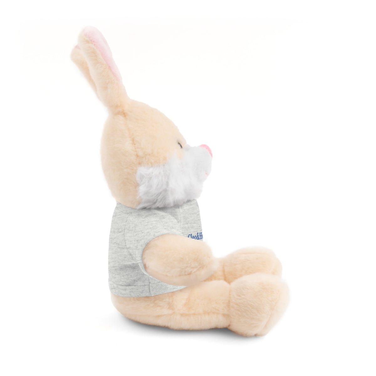Hoppy the Bunny