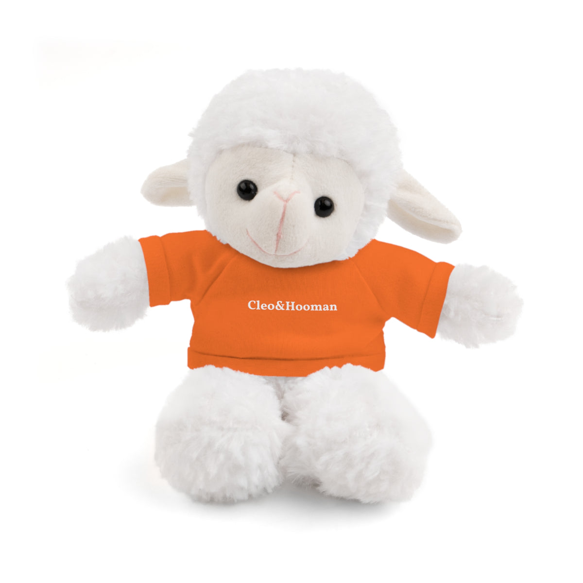 Woolly the Sheep