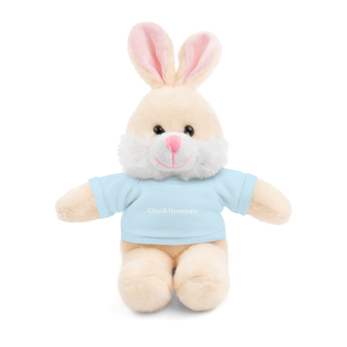 Hoppy the Bunny