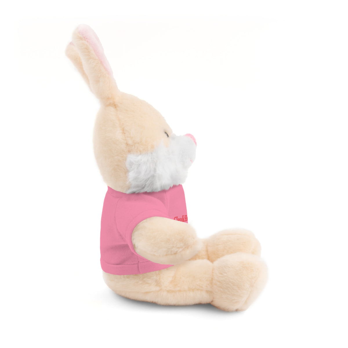 Hoppy the Bunny