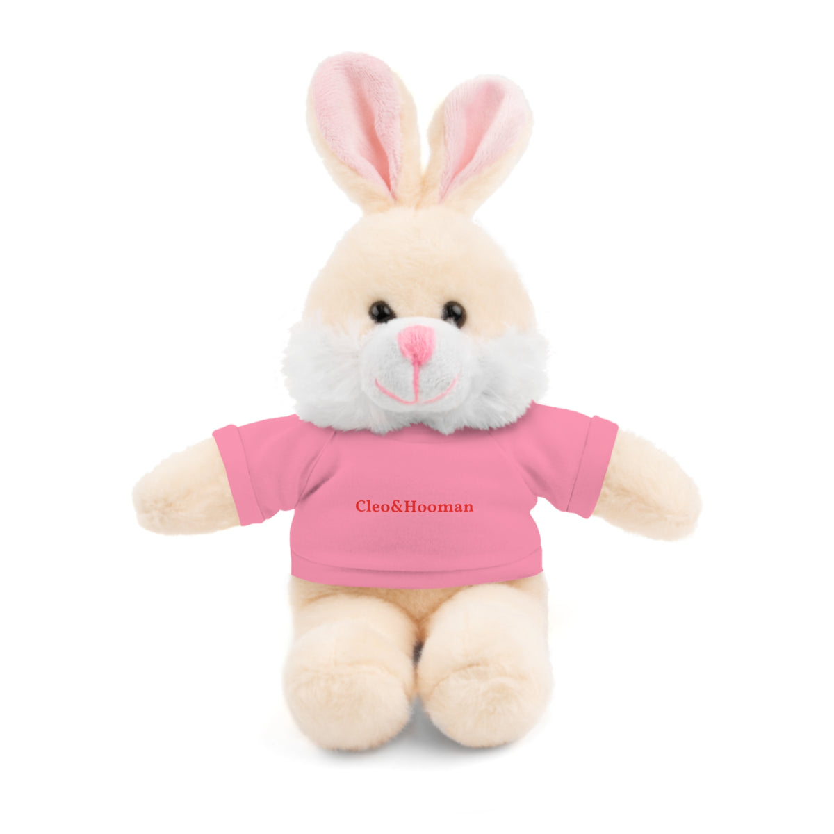 Hoppy the Bunny