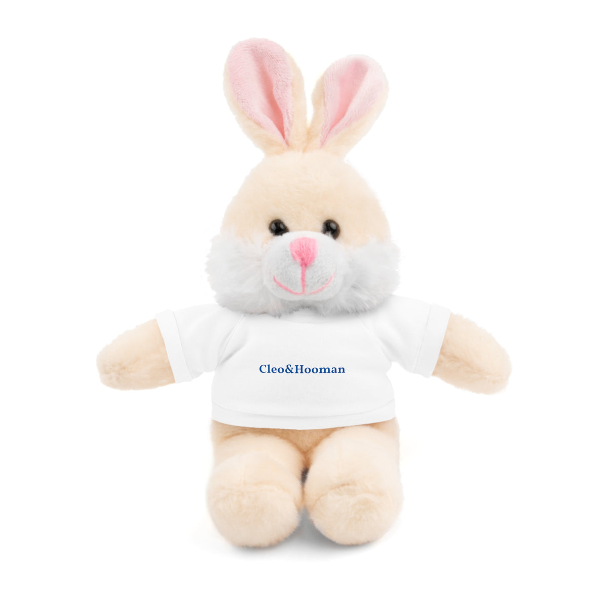Hoppy the Bunny