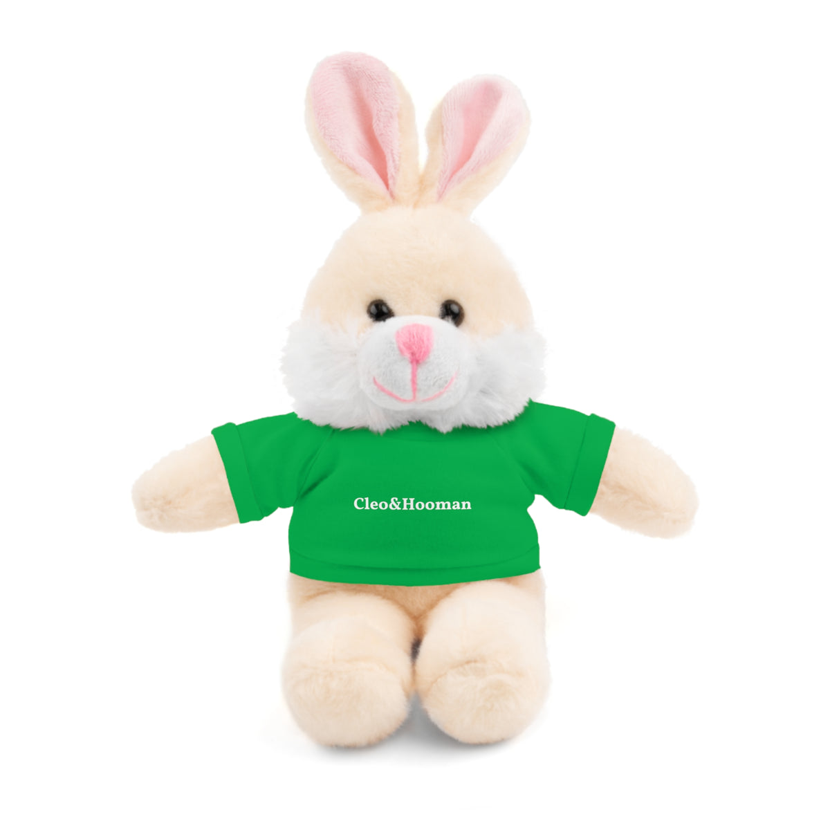 Hoppy the Bunny