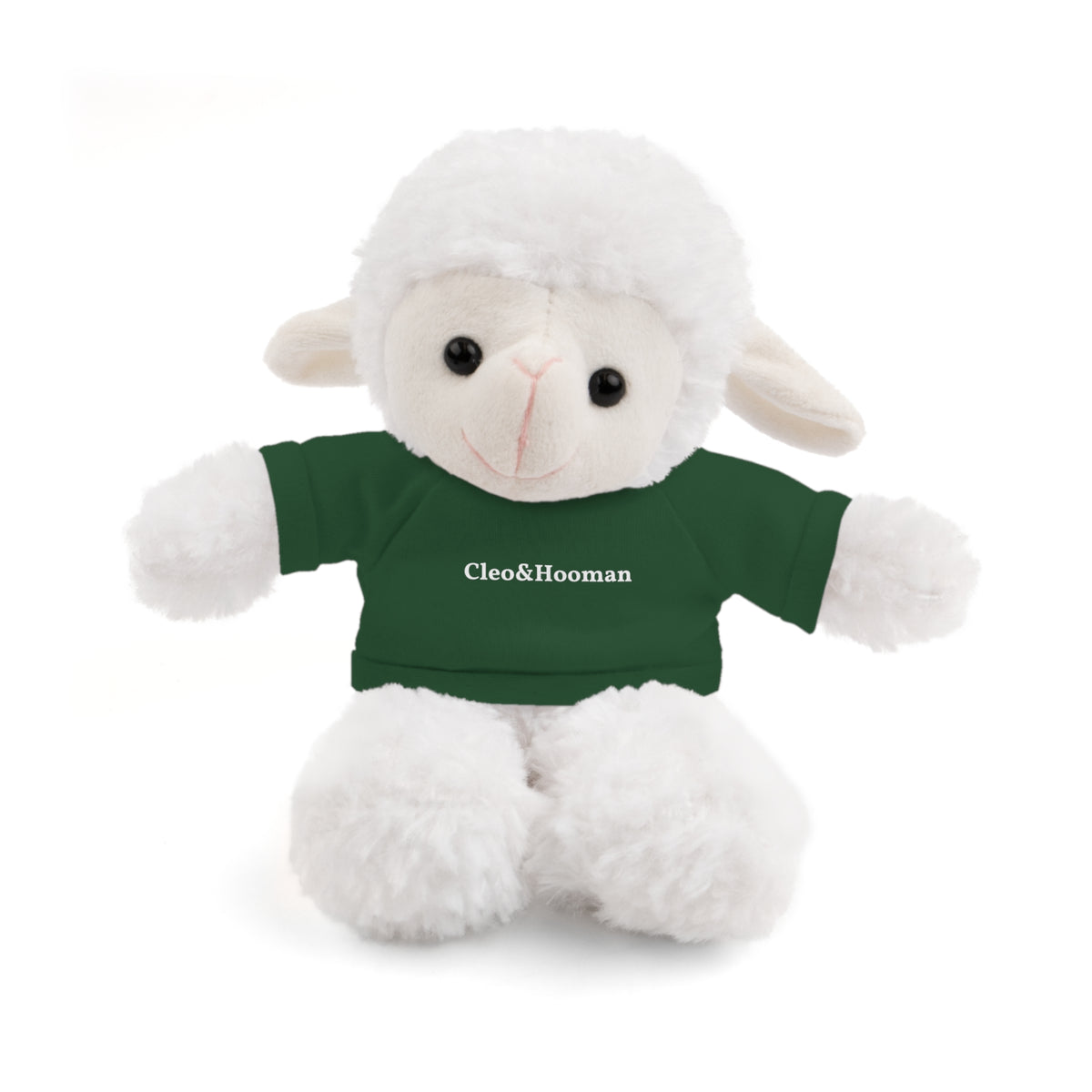 Woolly the Sheep