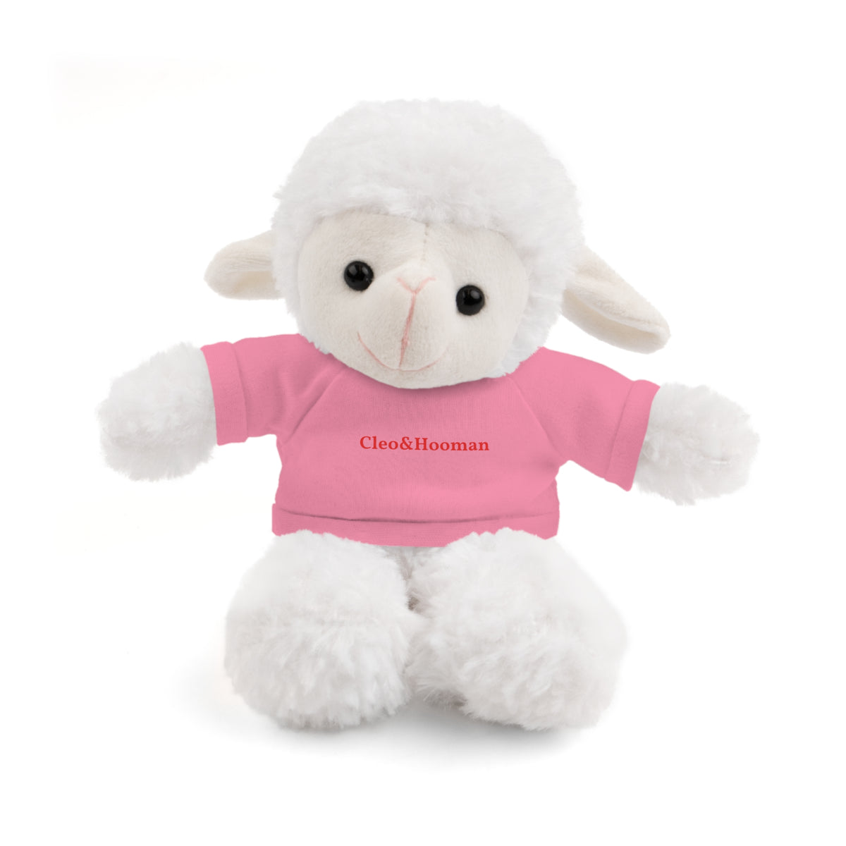 Woolly the Sheep