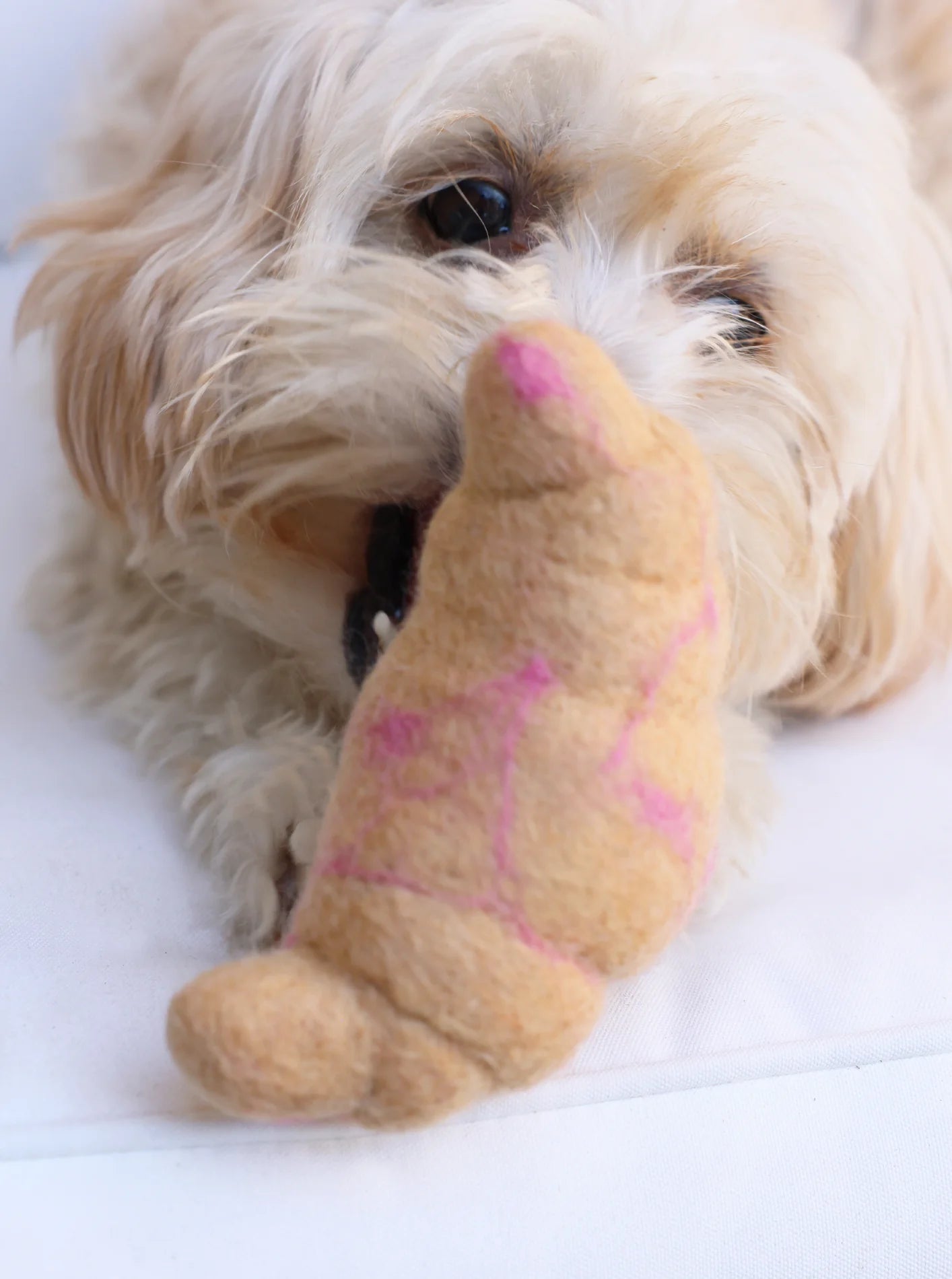 Wool Croissant Toy