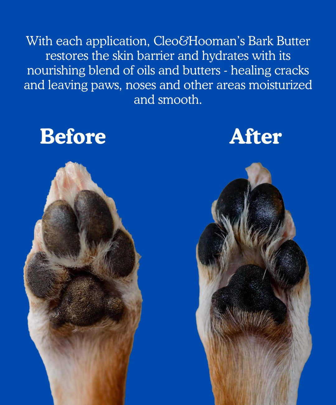 The Perfect Paws Set