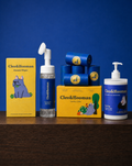 Allergy‑Season Survival Kit