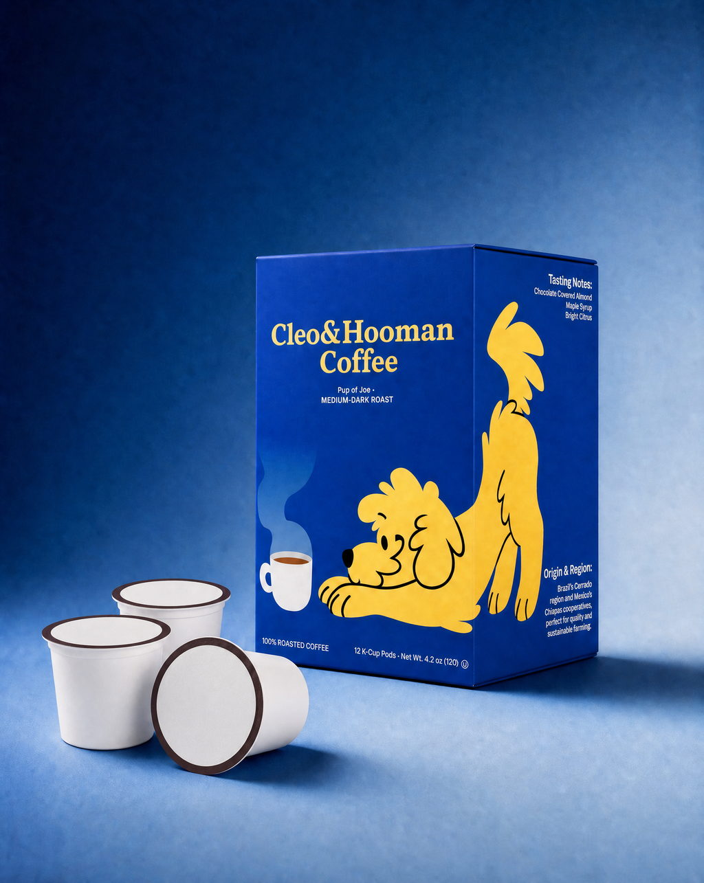 A blue box of Cleo & Hooman Coffee with a yellow cartoon dog illustration stands on a blue studio background, with three white coffee pods placed in front.