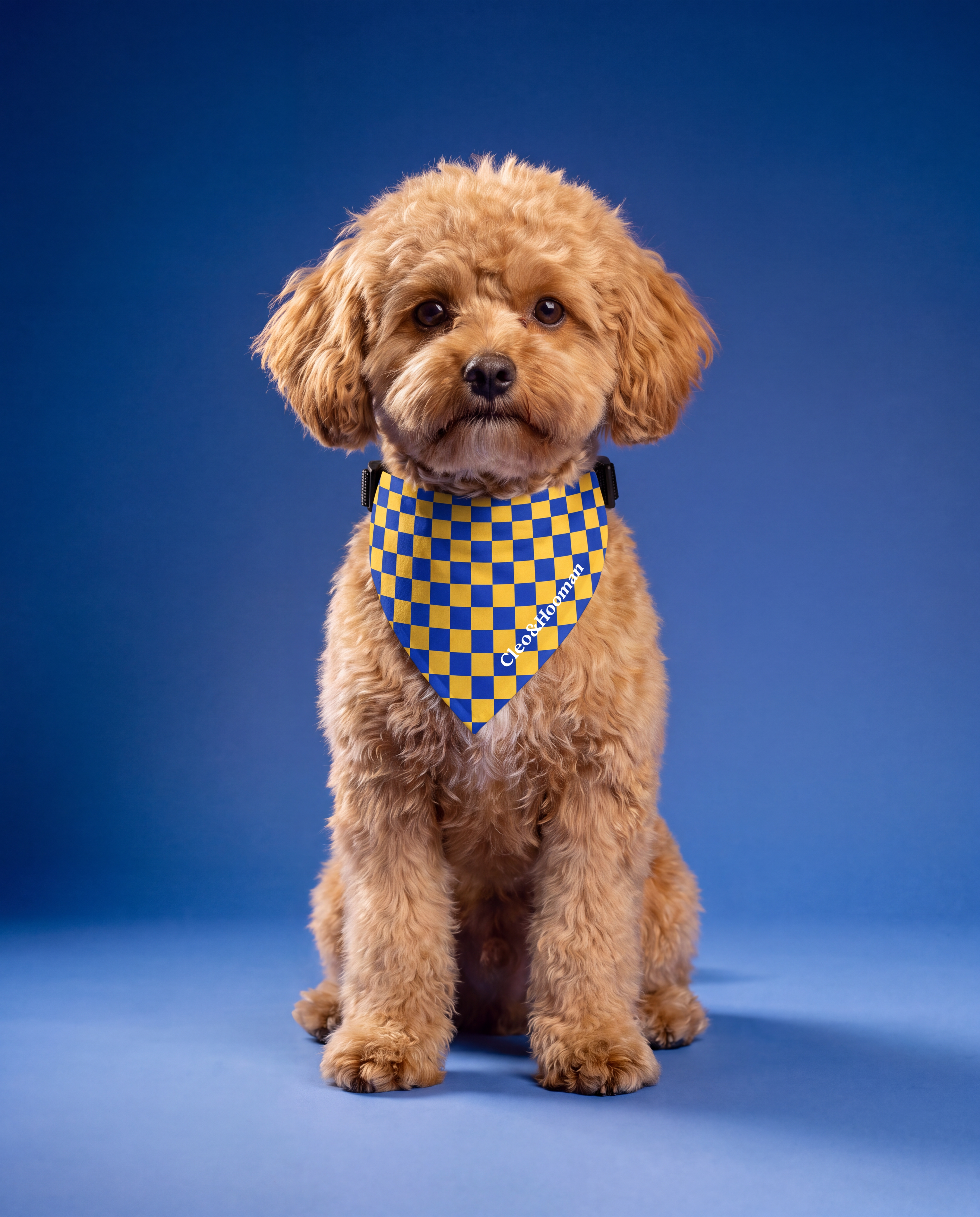 Trademark Clip-on Pet Bandana
