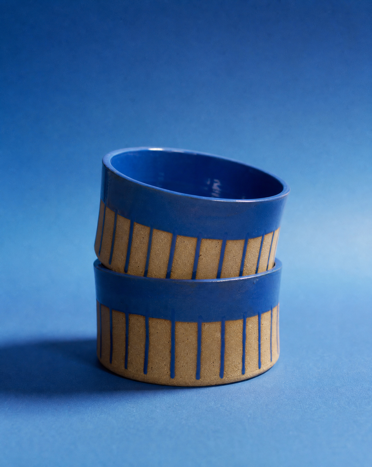 The Daily Drip Dog Bowl