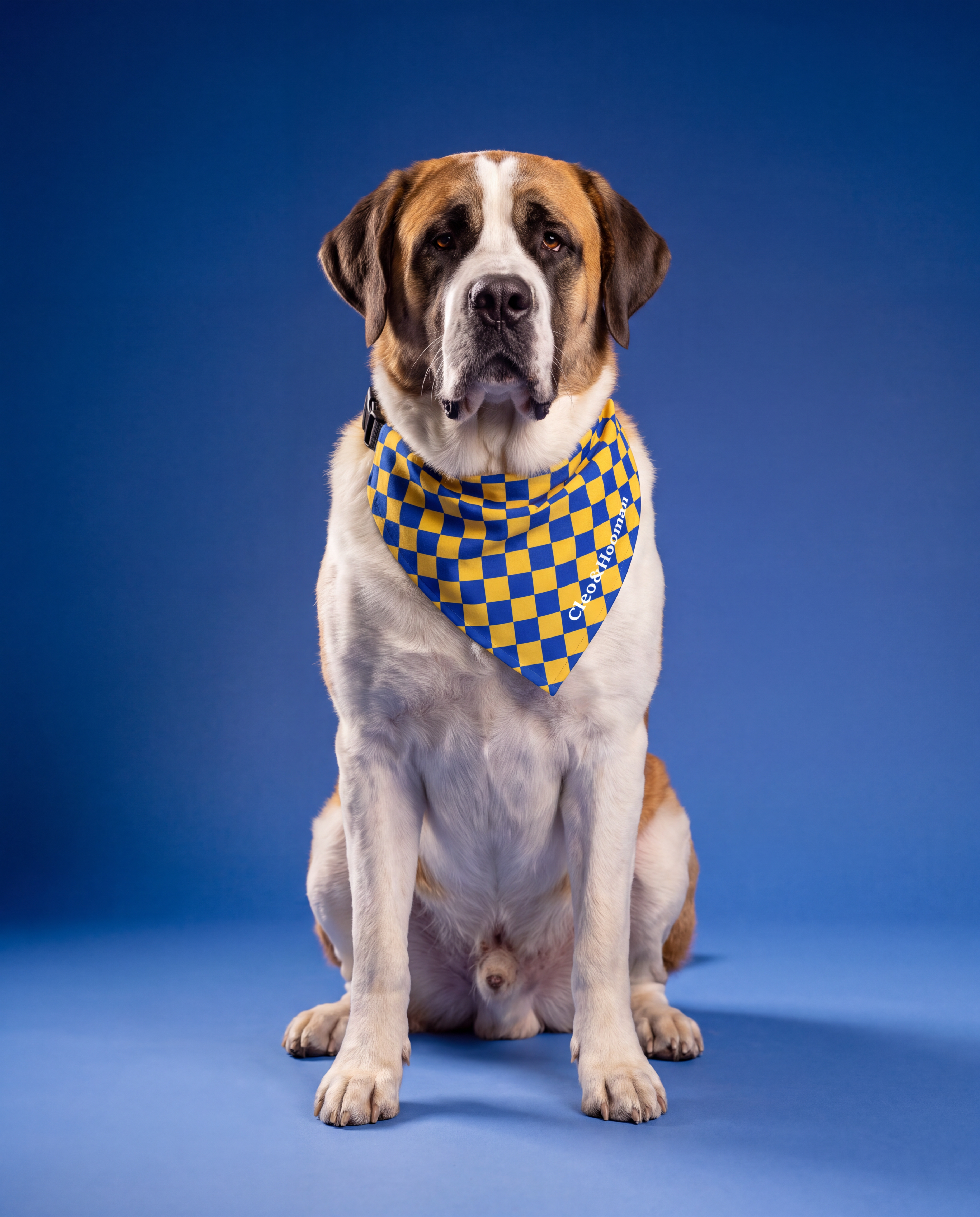 Trademark Clip-on Pet Bandana