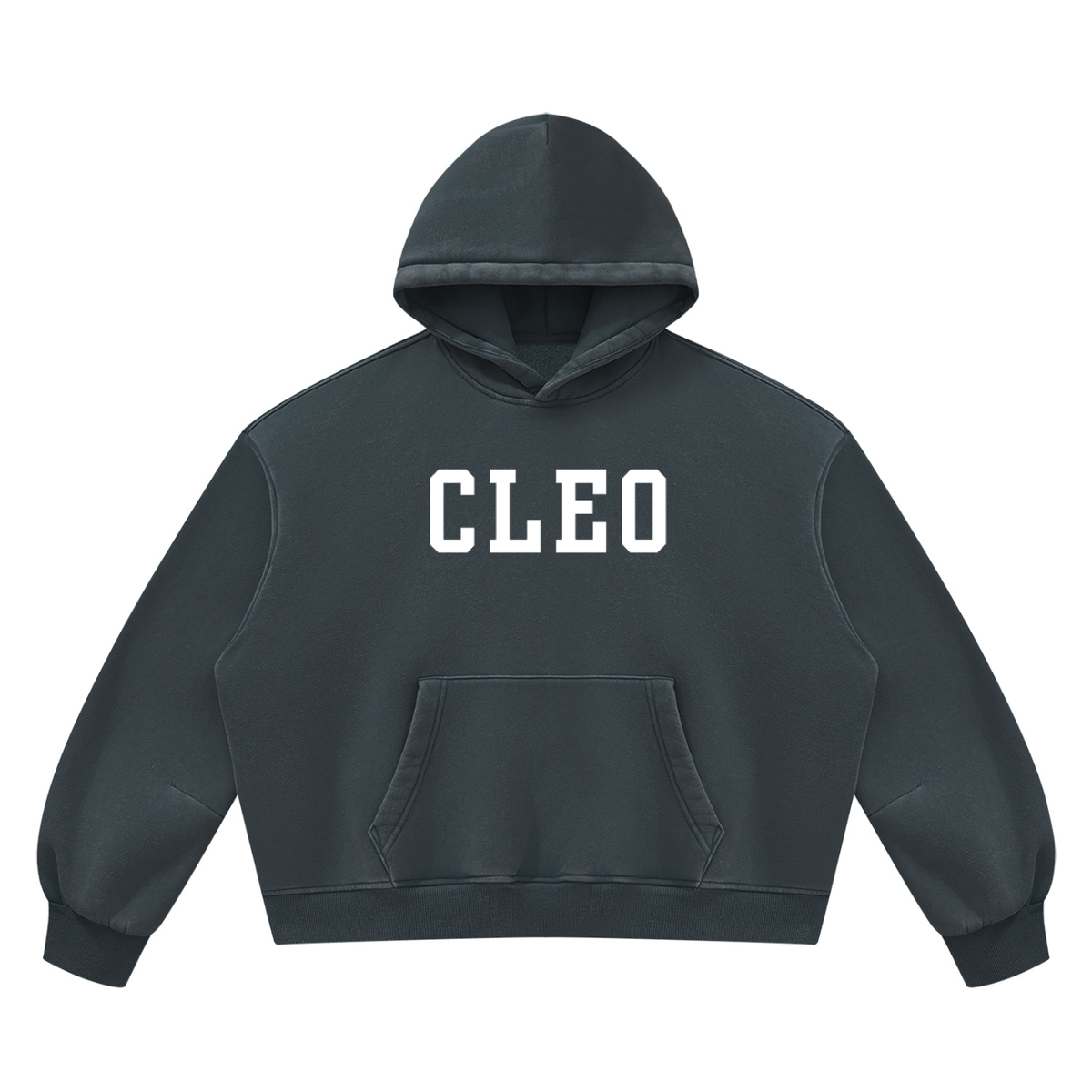 Cleo Varsity Fleece Hoodie