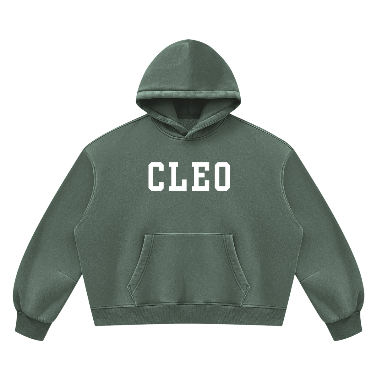 Cleo Varsity Fleece Hoodie